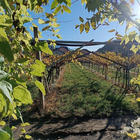 טרנטו Appartamenti Moderni, Luminosi E Tranquilli Con Parcheggio Privato - Agritur La Tenuta מראה חיצוני תמונה