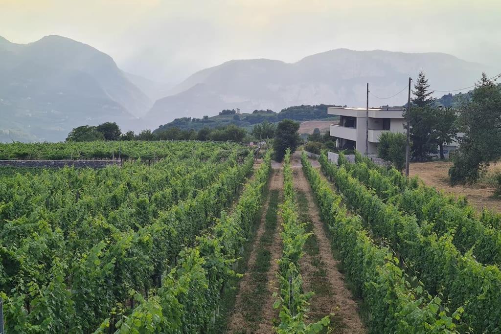 טרנטו Appartamenti Moderni, Luminosi E Tranquilli Con Parcheggio Privato - Agritur La Tenuta מראה חיצוני תמונה