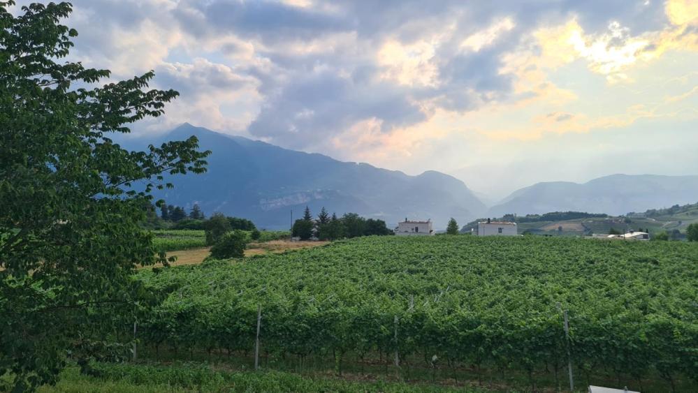 טרנטו Appartamenti Moderni, Luminosi E Tranquilli Con Parcheggio Privato - Agritur La Tenuta מראה חיצוני תמונה