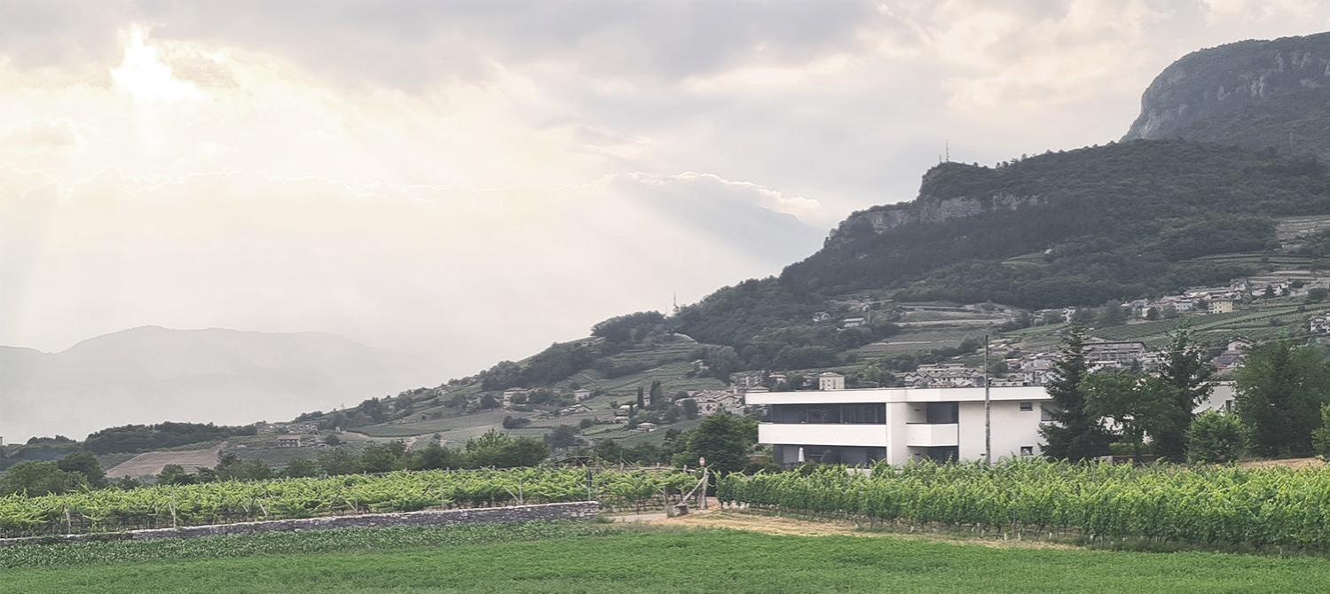 טרנטו Appartamenti Moderni, Luminosi E Tranquilli Con Parcheggio Privato - Agritur La Tenuta מראה חיצוני תמונה