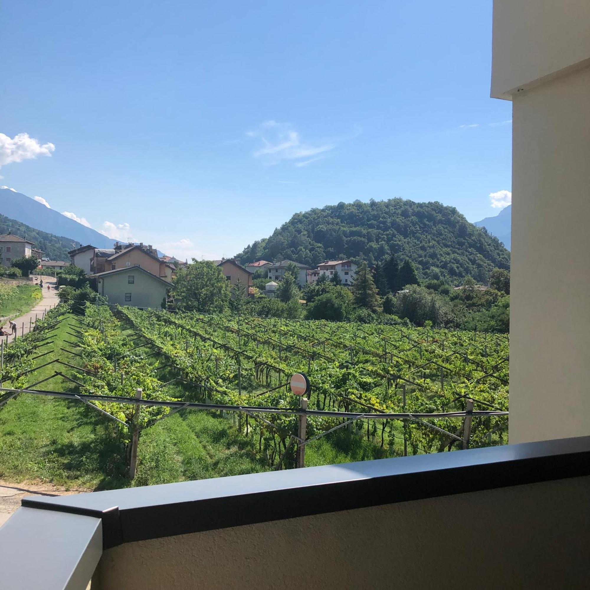 טרנטו Appartamenti Moderni, Luminosi E Tranquilli Con Parcheggio Privato - Agritur La Tenuta מראה חיצוני תמונה