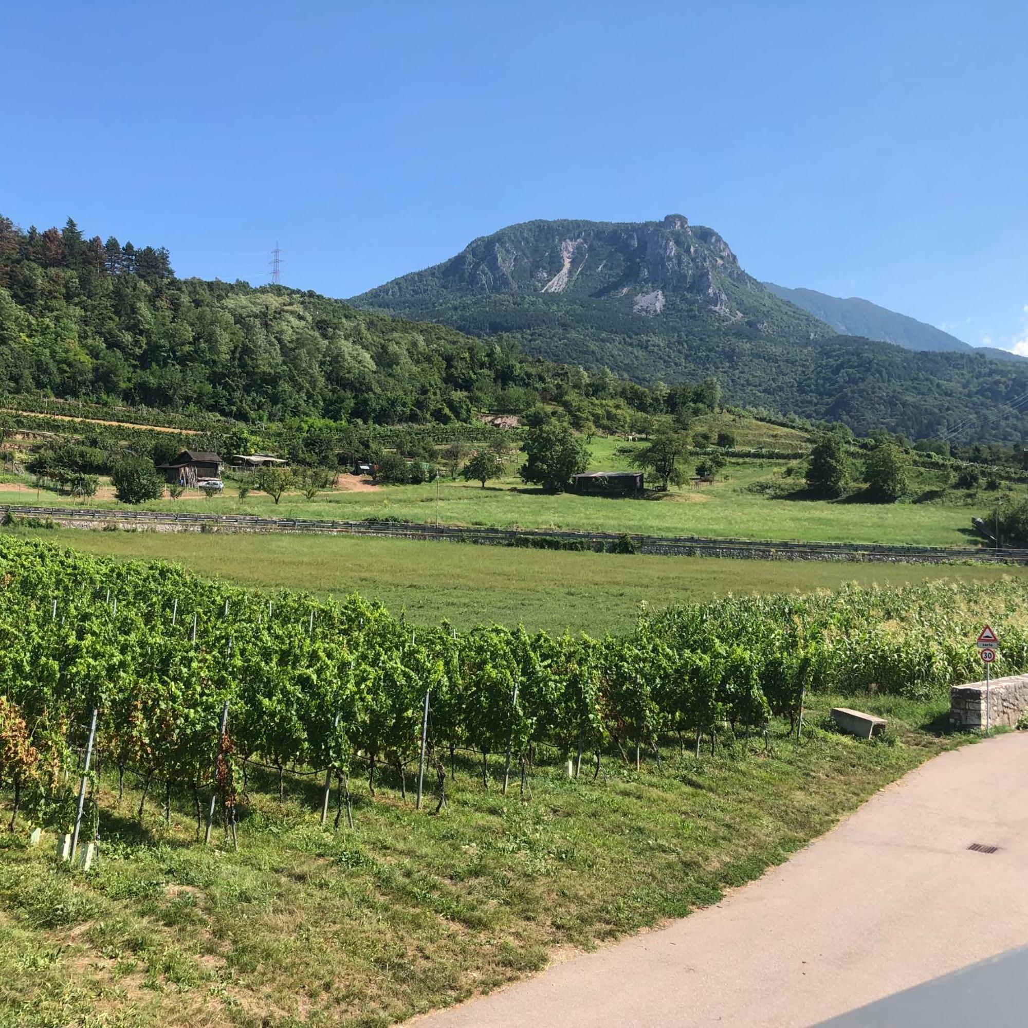טרנטו Appartamenti Moderni, Luminosi E Tranquilli Con Parcheggio Privato - Agritur La Tenuta מראה חיצוני תמונה
