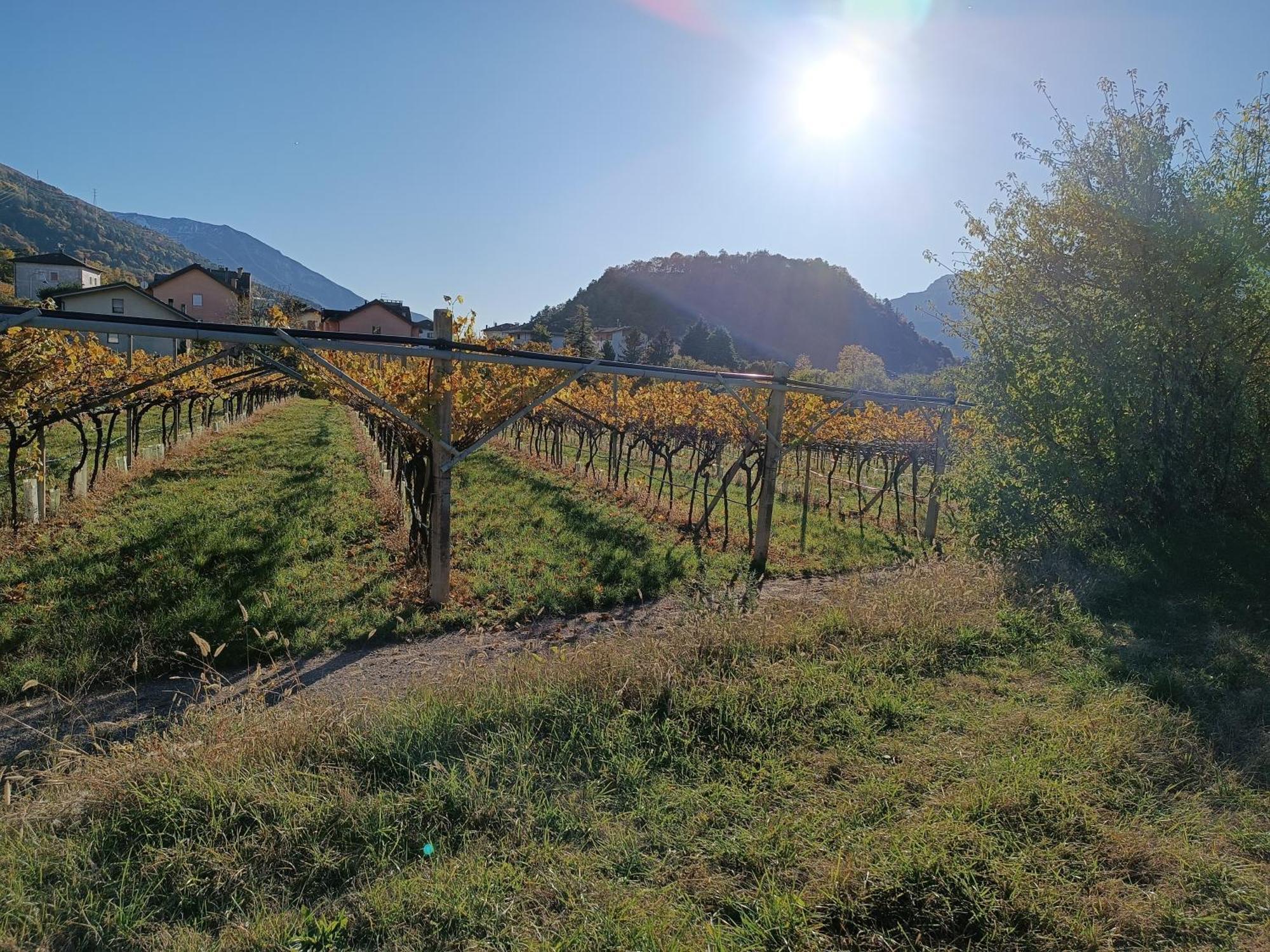 טרנטו Appartamenti Moderni, Luminosi E Tranquilli Con Parcheggio Privato - Agritur La Tenuta מראה חיצוני תמונה